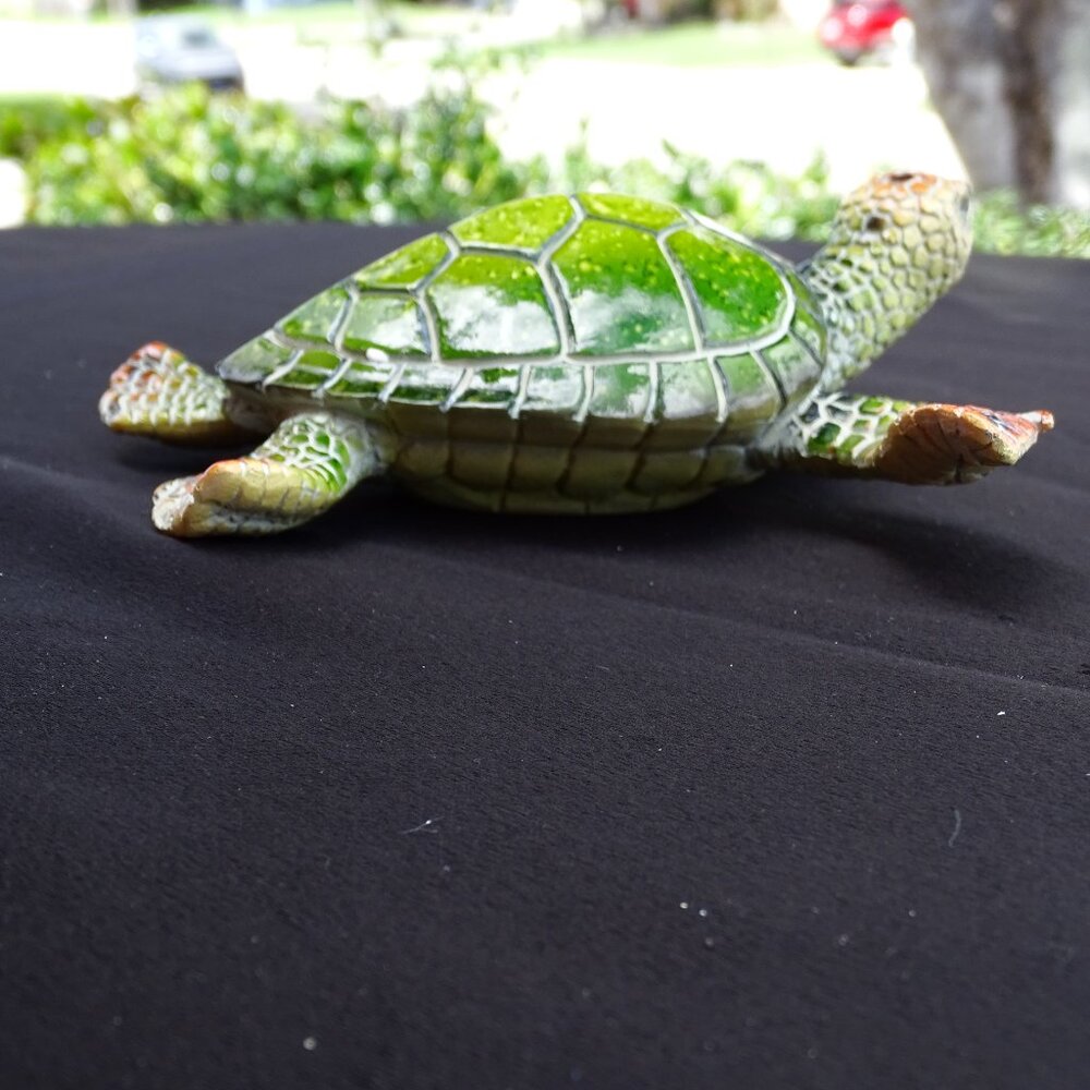 Adorable Loggerhead Sea Turtle - Picture 3 of 5